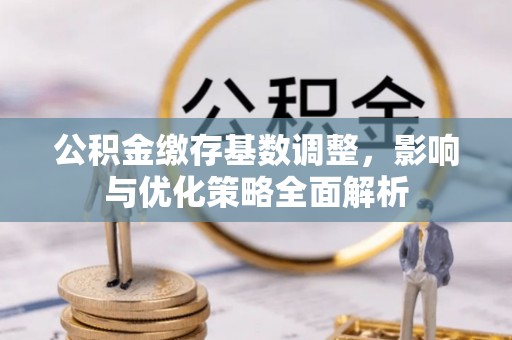 氹仔岛公积金缴存基数调整，影响与优化策略全面解析
